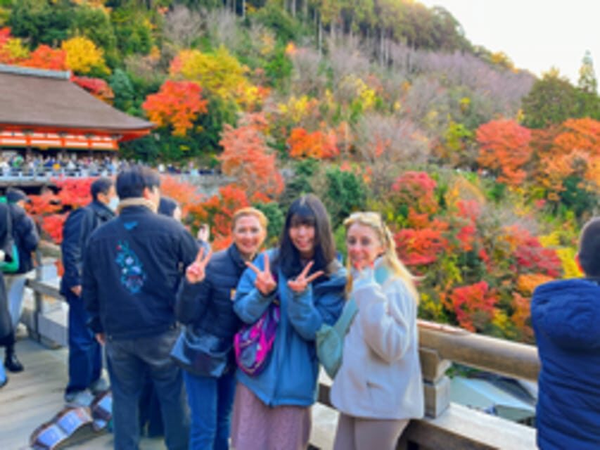Kyoto: Fushimi Inari, Kinkakuji, Bamboo Grove 1 Day Bus Tour - Tenryu-ji: the garden that changes with seasons