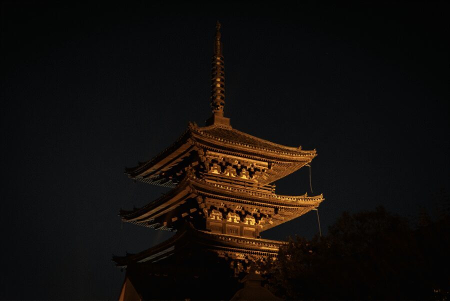 Kyoto: Izakaya Bars Guided Walking Tour - Price and Value: $25 for the Guide, Not the Party Tab