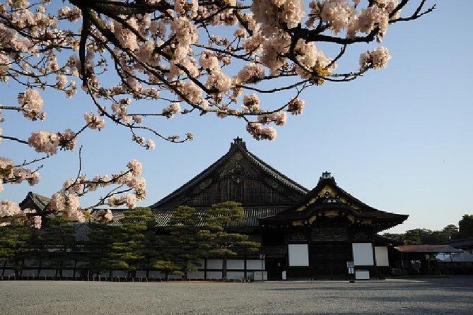 Kyoto Morning Tour from Kyoto or Osaka - Starting at Kyoto Avanti: Meeting Point and Timing Tips