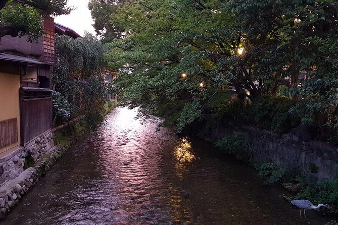 Kyoto Nighttime All-Inclusive Eats and Streets, Gion and Beyond - Crossing the Kamogawa: Pontocho and Kiyamachi’s narrow lanes vs the modern streets