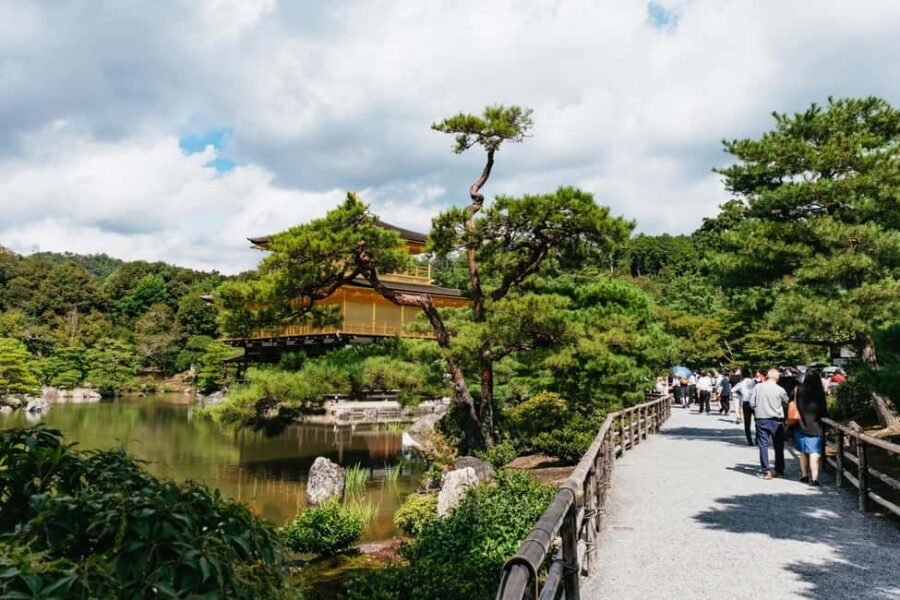 Kyoto: Nijo Castle, Kiyomizu & Fushimi Inari Guided Tour - First stop: Arashiyama Bamboo Grove before the crowds