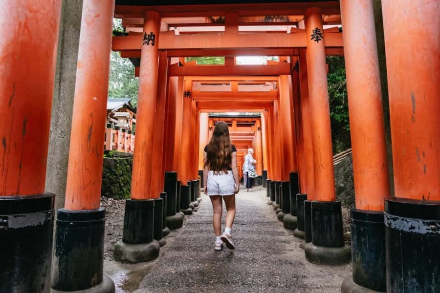 Kyoto: Nijo Castle, Kiyomizu & Fushimi Inari Guided Tour - Kinkaku-ji (Golden Pavilion): breathtaking, but ticket dependent