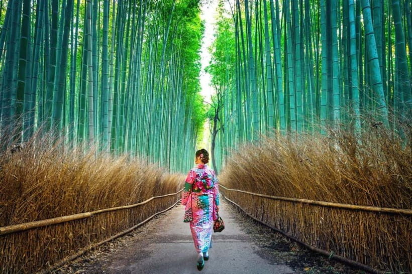 Kyoto: Private Customizable Day Tour with Guide and Vehicle - Key highlights to watch for
