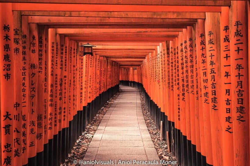 Kyoto: Private Customizable Day Tour with Guide and Vehicle - Door-to-Door Kyoto Comfort in a Clean Air-Conditioned Van