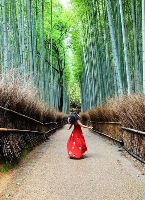 Kyoto: Private Customizable Day Tour with Guide and Vehicle - Gion Stroll: Traditional Streets, Controlled Pace