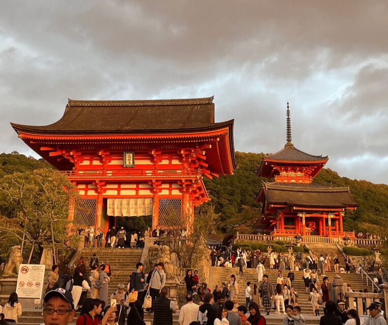 Kyoto: Private Highlights Tour with Guide and Luxury Vehicle - Arashiyama Morning: Bamboo Forest, Tenryu‑ji, Togetsu‑kyō, Monkey Park, Kimono Forest