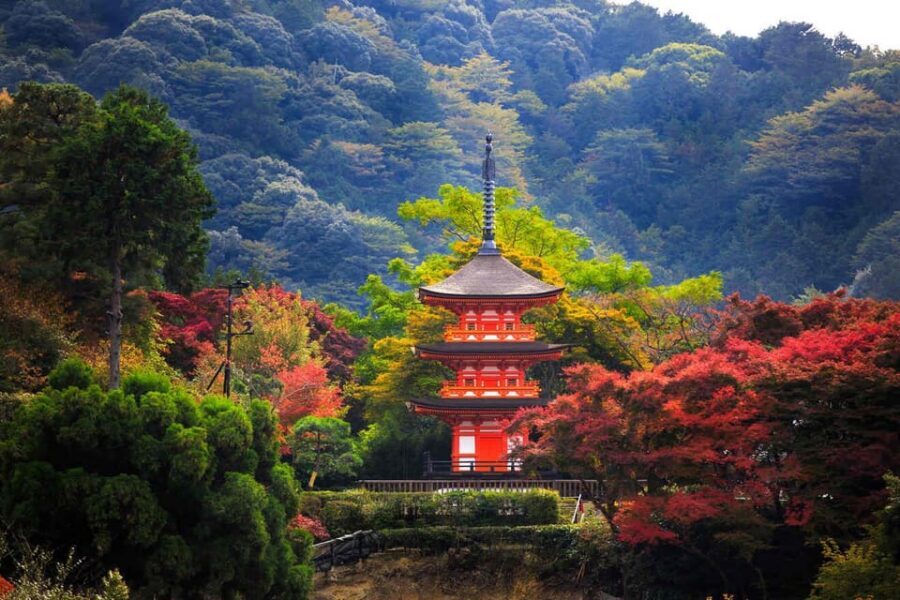 Kyoto: Private Highlights Tour with Guide and Luxury Vehicle - Kinkaku‑ji to Ginkaku‑ji: Golden and Silver Pavilion Zen Mood