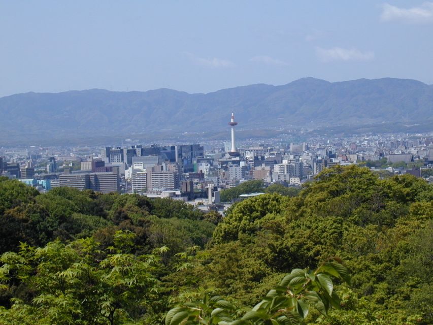 Kyoto: Private Tour with Local Licensed Guide - Fushimi Inari Shrine: torii gates with a story you can feel