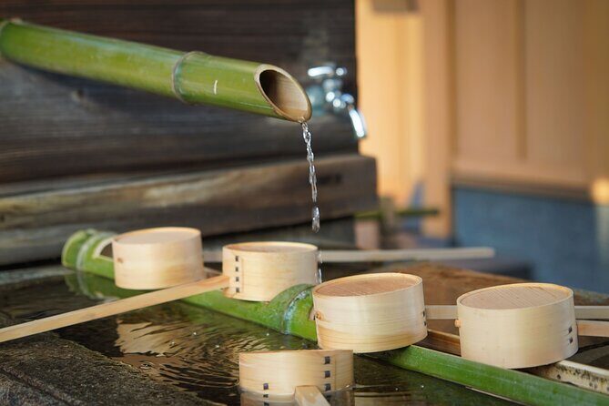 Kyoto Zen Meditation & Garden Tour at a Zen Temple with Lunch - Season Tips: Kyoto Weather Can Be the Real Challenge