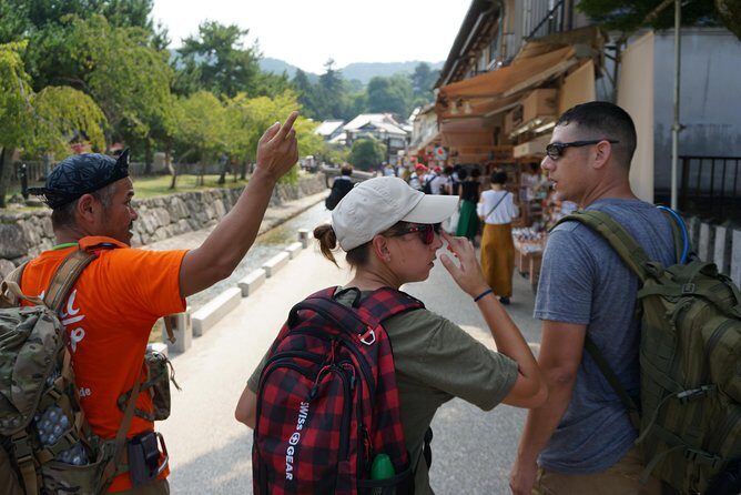 Miyajima Half-day Trip Historical Walking Tour - Momijidani Park and Senjokaku: Two Photo-Friendly Stops