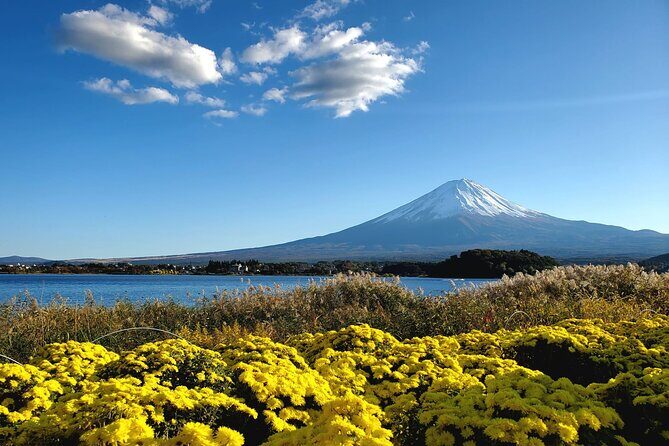 Mount Fuji Full-Day Private Tour from Tokyo (Customizable) - A private Mount Fuji day from Tokyo that actually feels manageable