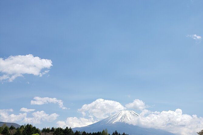 Mount Fuji, Hakone & Lakekawaguchiko Private Group Tour by Car. - Oshino Hakkai: Old Structures, the Ninja-Village Vibe