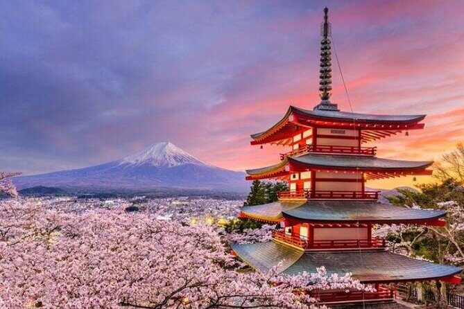 Mount Fuji (Mt. fuji) private tour by car with pickup from Tokyo - How to build your perfect route (and not waste time)