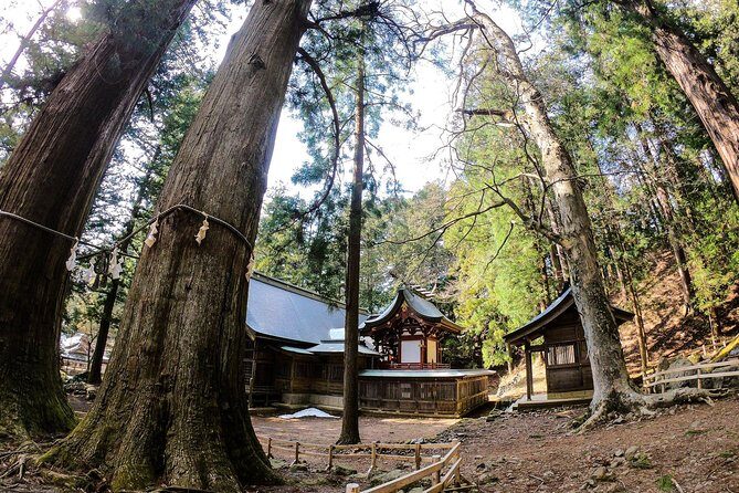 Mt Fuji Area Private Guided Tours in English-Nature up close, quiet, personal - Asama Shrine and the 1200-year-old cedar forest