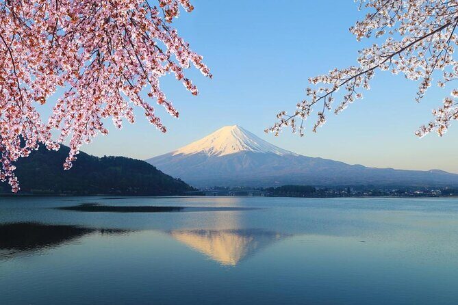 Mt. Fuji Day Trip from Tokyo with English Speaking Driver Guide - Why a Private Fuji Day Feels Like a Cheat Code
