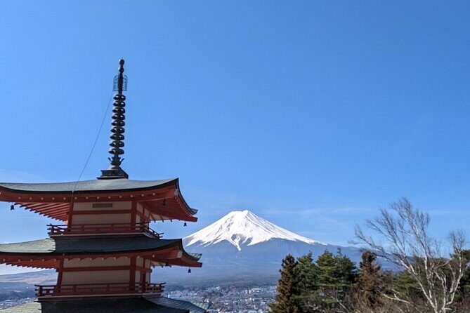 Mt. Fuji Day Trip from Tokyo with English Speaking Driver Guide - Pickup, English-Speaking Support, and the “Driver vs. Guide” Reality
