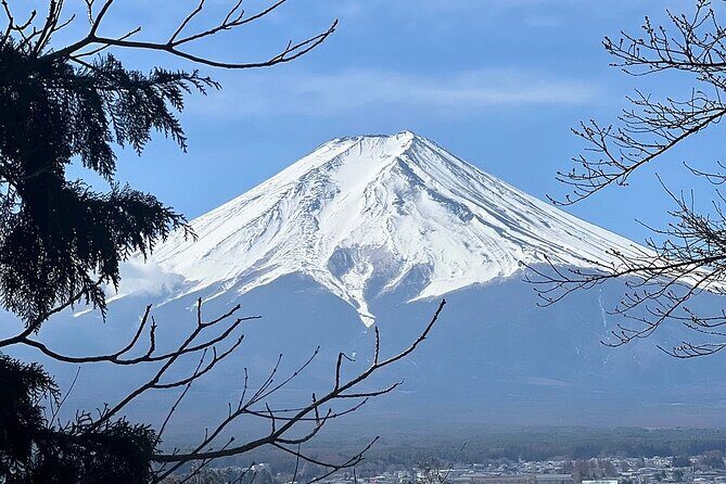 Mt. Fuji Day Trip from Tokyo with English Speaking Driver Guide - Oishi Park: The Simple Fuji Photo Zone