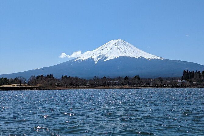 Mt. Fuji Day Trip from Tokyo with English Speaking Driver Guide - Lake Kawaguchiko: Your First Fuji Fix