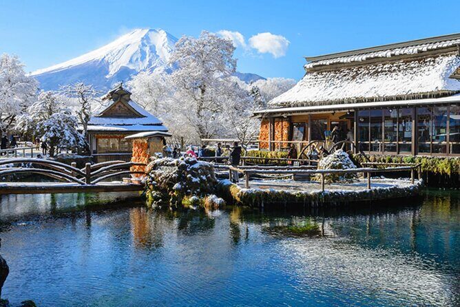 Mt. Fuji, Hakone Full-Day Private Tour with English Driver Guide - Key things I’d circle before you book