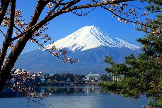 Mt. Fuji, Hakone Full-Day Private Tour with English Driver Guide - How the day flows: from Subaru Line 5th Station toward Lake Kawaguchiko