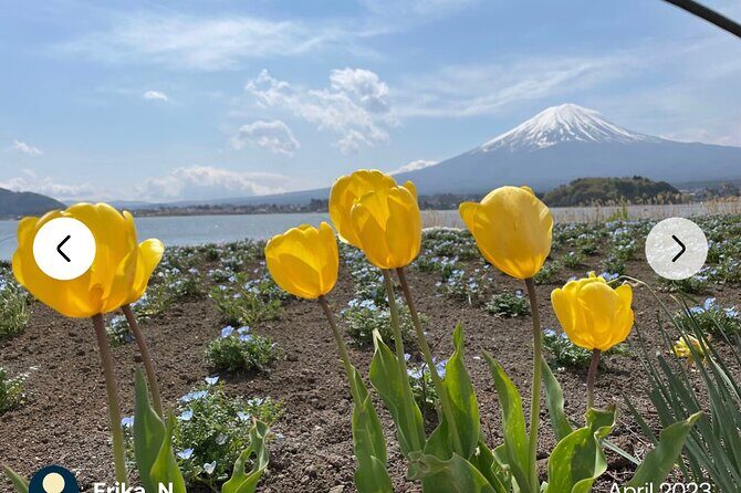 Mt. Fuji, Hakone Full-Day Private Tour with English Driver Guide - Owakudani and black eggs: Hakone’s volcanic mood in 30 minutes