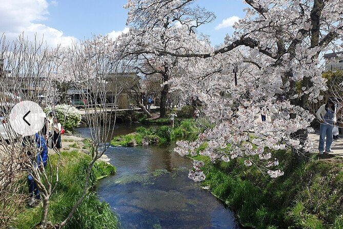Mt. Fuji, Hakone Full-Day Private Tour with English Driver Guide - Lake Ashinoko and Hakone Shrine: torii gate photos and an old-world reset