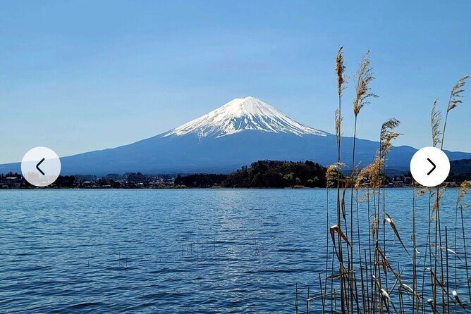 Mt. Fuji, Hakone Full-Day Private Tour with English Driver Guide - Arakurayama Sengen Park, Saiko Iyashi no Sato, and the Chureito Pagoda view triangle