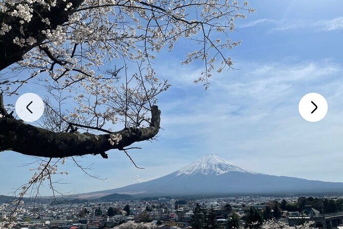 Mt. Fuji, Hakone Full-Day Private Tour with English Driver Guide - Fuji-Q Highland included ticket: the one guaranteed fun stop