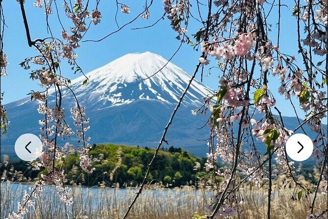 Mt. Fuji, Hakone Full-Day Private Tour with English Driver Guide - Wrapping up at Hakone spots: how to make the last hour count