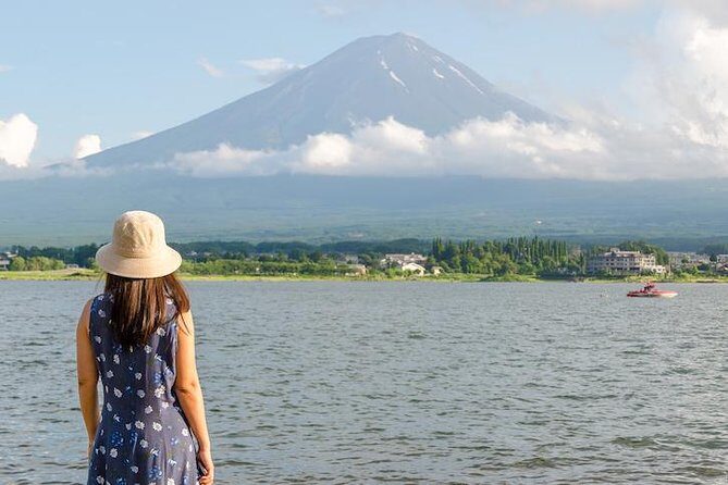 Mt. Fuji & Hakone Private Day Tour with English-Speaking Driver - Optional stops that can upgrade your day (or steal it)