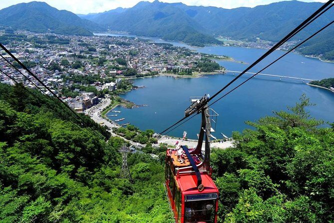 Mt. Fuji & Hakone Private Day Tour with English-Speaking Driver - English-speaking driver value: tailoring is the hidden ingredient