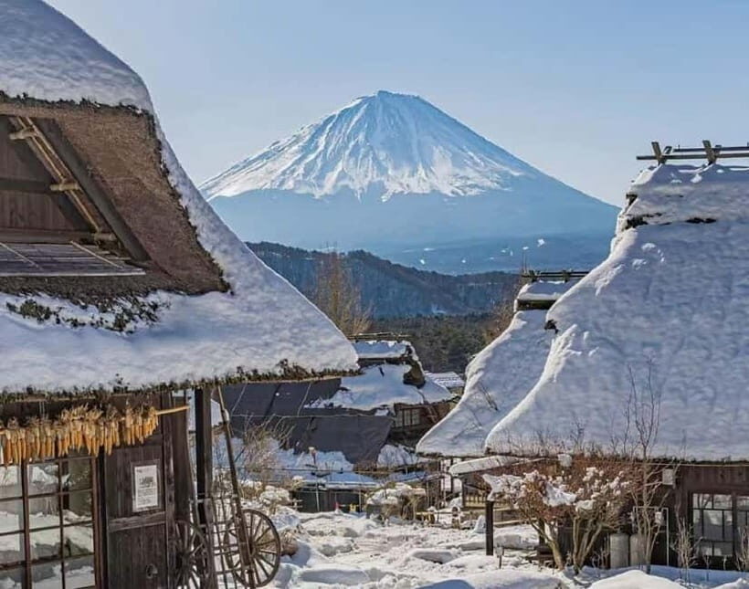 Mt. Fuji Heritage Tour: Traditional Villages, Lakes & Shrine - Key highlights worth planning for