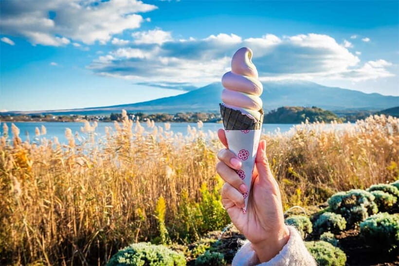 Mt. Fuji Heritage Tour: Traditional Villages, Lakes & Shrine - Oshino Hakkai: eight spring ponds and a slower finish
