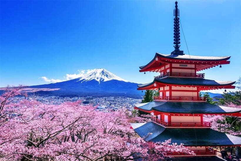 Mt. Fuji Heritage Tour: Traditional Villages, Lakes & Shrine - Who should book this Mt. Fuji Heritage Tour