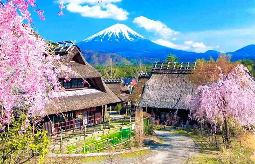 Mt. Fuji Heritage Tour: Traditional Villages, Lakes & Shrine - Tokyo pickup, shared bus pace, and why timing matters