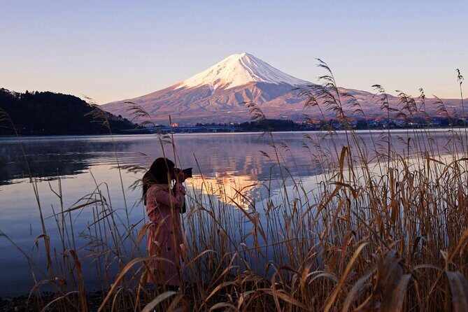 Mt Fuji Private Tour with English Speaking Driver - Private Mt. Fuji Day Trip: The Real Reason It Feels Less Hard