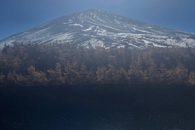 Mt Fuji Private Tour with English Speaking Driver - The Ropeway, Parks, and Short Stops: How to Decide Without Overthinking
