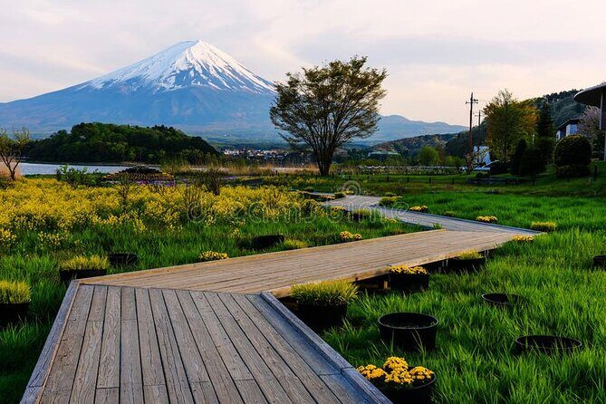 Mt Fuji Private Tour with English Speaking Driver - Your English-Speaking Driver Is the Main Event