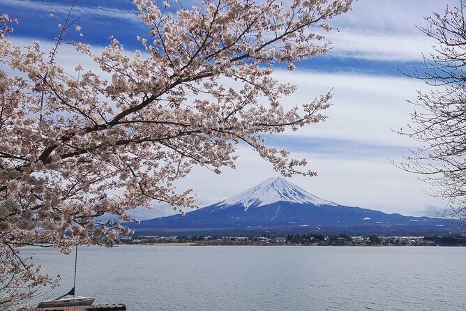 Mt Fuji Private Tour with English Speaking Driver - Weather Reality Check: How to Set Yourself Up for Success