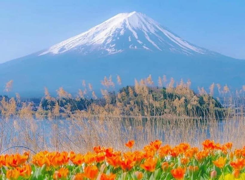 Mt Fuji Top 5 Spots Day Tour: Arakurayama Park,Oshino Hakkai - Key things you’ll notice