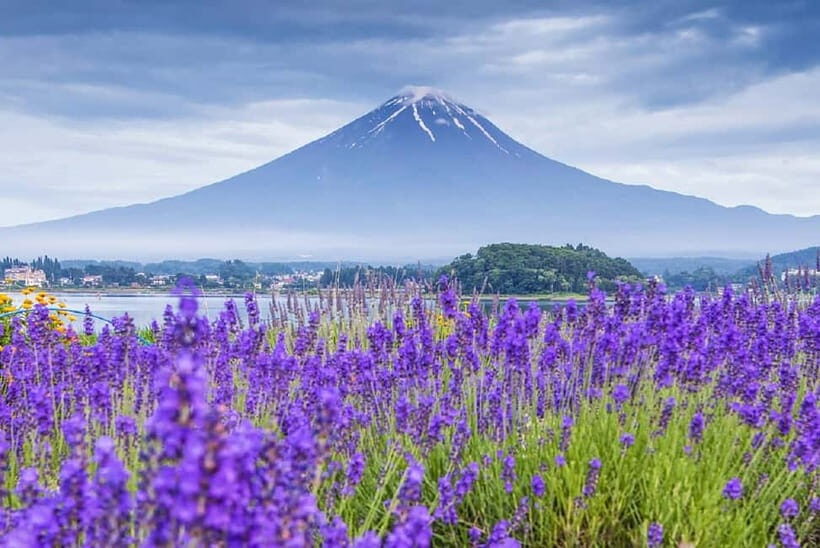 Mt Fuji Top 5 Spots Day Tour: Arakurayama Park,Oshino Hakkai - Fuji in ten hours: how the tour actually feels