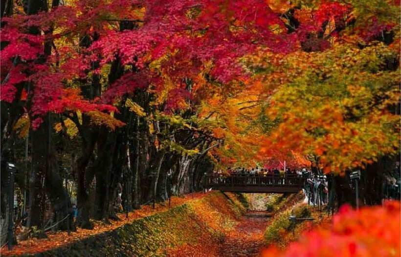 Mt Fuji Top 5 Spots Day Tour: Arakurayama Park,Oshino Hakkai - Lunch reality check: planned, but not paid for in the tour price