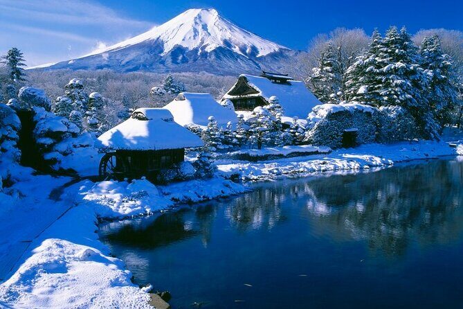Mt. Fuji Tours with Kawaguchi Lake Ropeway View English Speaking - Stop 5: Oshino Hakkai—eight springs fed by Mt. Fuji snowmelt