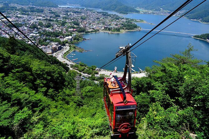 Mt. Fuji Tours with Kawaguchi Lake Ropeway View English Speaking - Price and value: why $81.41 can feel fair