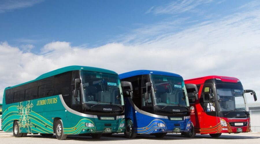 Naha: North Okinawa Sightseeing Tour & Churaumi Aquarium - The audioguide and tour flow: guided entrances, free wandering