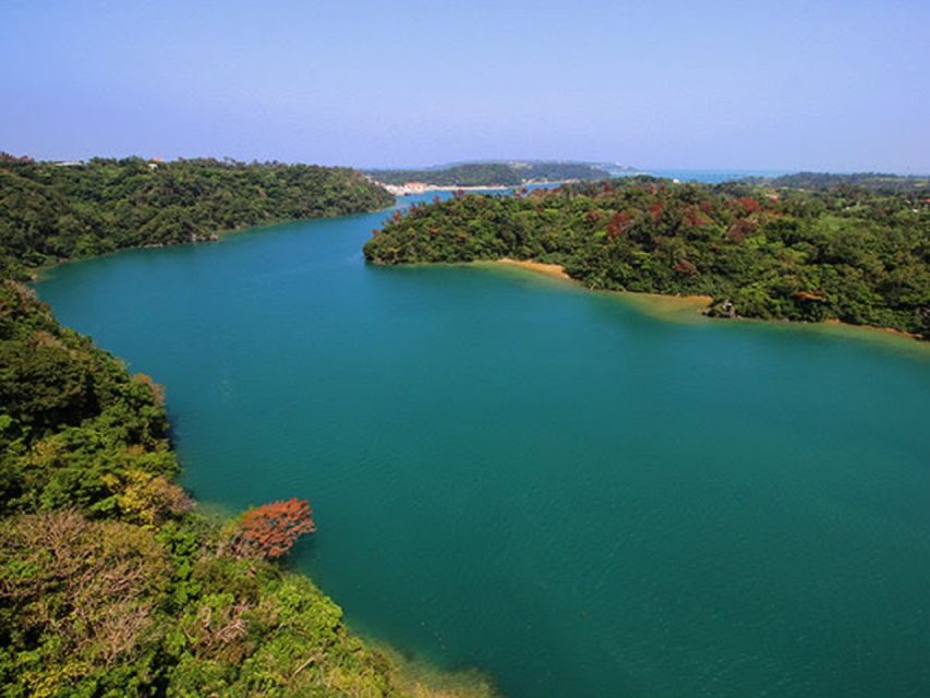 Naha: North Okinawa Sightseeing Tour & Churaumi Aquarium - Why this North Okinawa day trip works from Naha