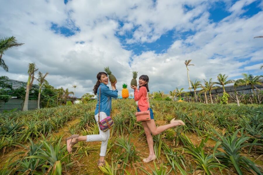 Naha: North Okinawa Sightseeing Tour & Churaumi Aquarium - Pickup timing: the long-day rhythm (and how to avoid stress)