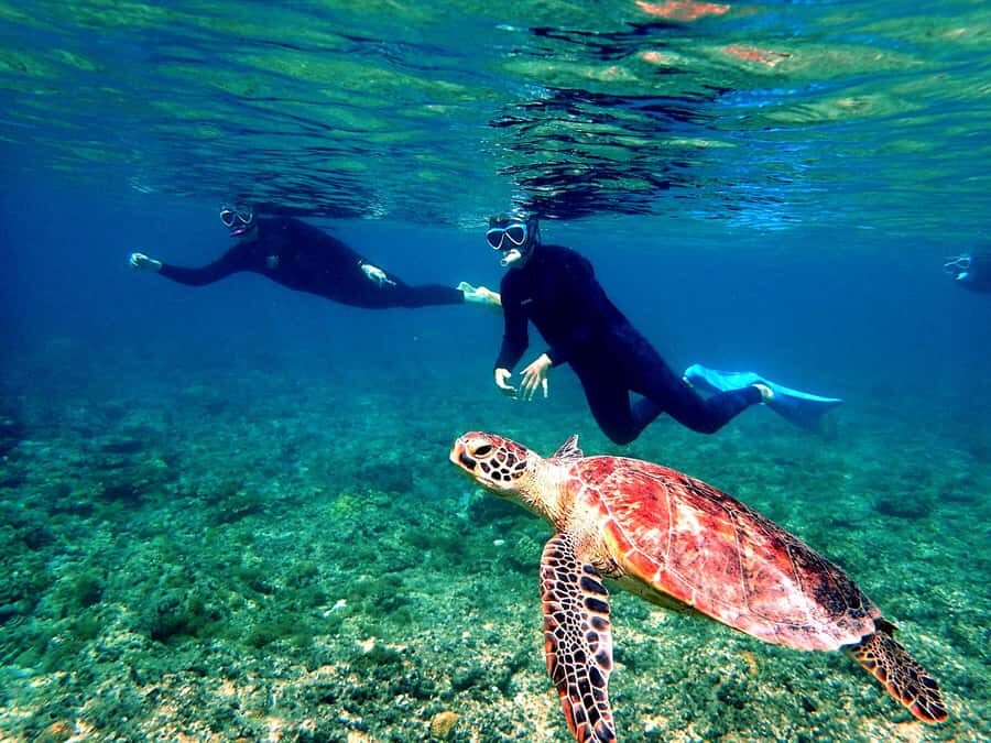 Okinawa: From Naha: Kerama Islands 1-day snorkeling tour - Key things that make this Kerama snorkeling day work