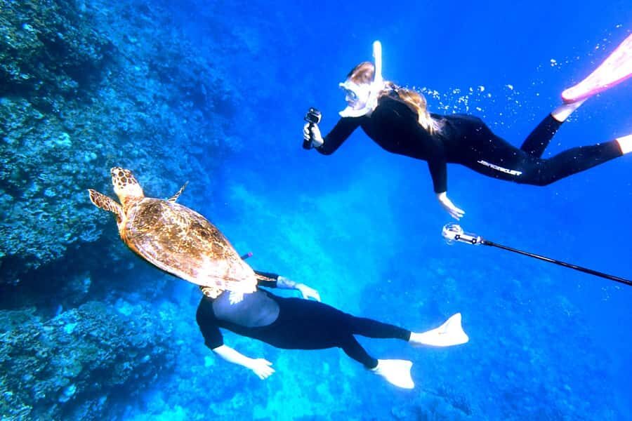 Okinawa: From Naha: Kerama Islands 1-day snorkeling tour - Rules around wildlife: the line between seeing and messing it up