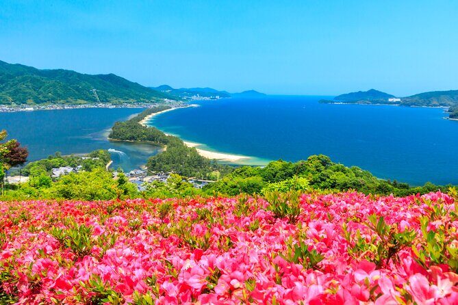 Osaka Day Tour: Amanohashidate & Ine Bay - Key Highlights at a Glance